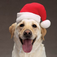 200+ Christmas Wallpapers