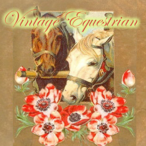 Equestrian Horse Pictures and Wallpapers