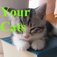 Your Cats